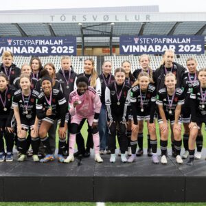 minna steypa finalan-18