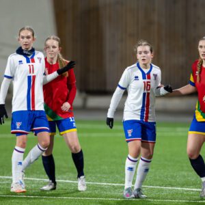 WU19_Foroyar-samaland-36